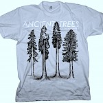 K.J. Rollins - Ancient Trees of the Northwest T-Shirt