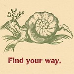Hope Amico - Find Your Way Postcard