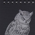 Eberhardt Press - Metallic Eagle Owl Notepad