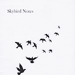 Frederick Moe - Skybird Notes: Free Radio Skybird 10th Anniversary Zine