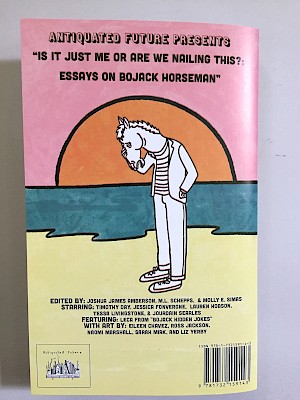 Bojack horseman symbolism image