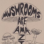 Heather Anacker, Krista Feld - Mushrooms Are Ama-zine