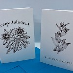 Toast Cards - Congratulations Greeting Card 2-Pack