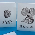Toast Cards - Hello Greeting Card 2-Pack