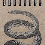 Eberhardt Press - Snake Notepad