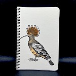 Eberhardt Press - Hoopoe Bird Notebook