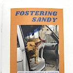 Andria Alefhi Lamberton - Fostering Sandy: One Month With a Foster Dog and What We Learned