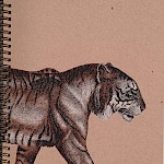 Eberhardt Press - Tiger Sketchbook