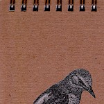 Eberhardt Press - Rock Thrush Notepad